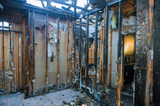 Professional Fire Damage Removal technician working in Brinckerhoff, NY